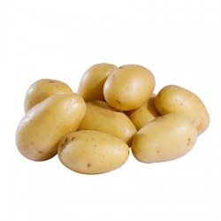 Pomme de Terre Blanche